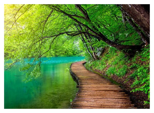 Tablou pe sticlă - Lacurile Plitvice (70x50 cm)