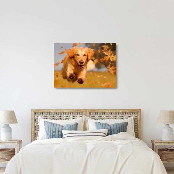 Tablou pe sticlă - Golden Retriever (70x50 cm)