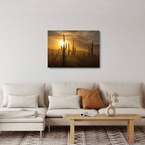 Tablou pe sticlă - Cactuși Saguaro (70x50 cm)