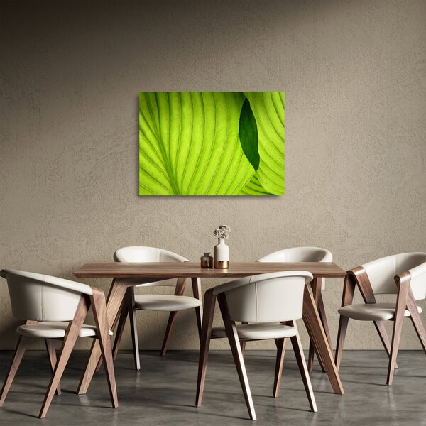 Tablou pe sticlă - Detaliu de frunză verde (70x50 cm)