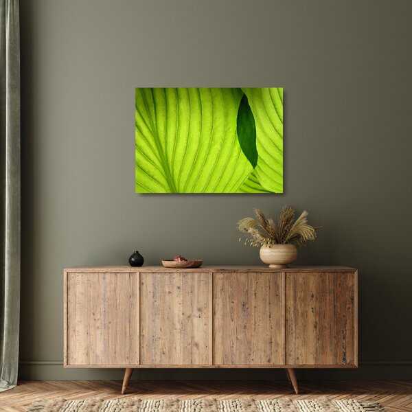 Tablou pe sticlă - Detaliu de frunză verde (70x50 cm)