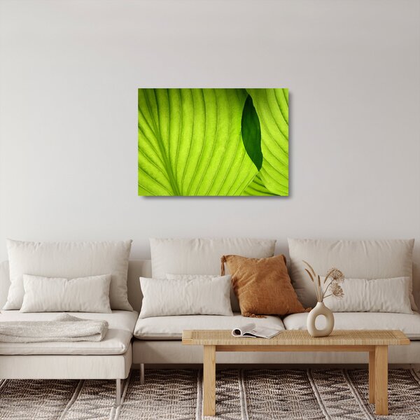 Tablou pe sticlă - Detaliu de frunză verde (70x50 cm)