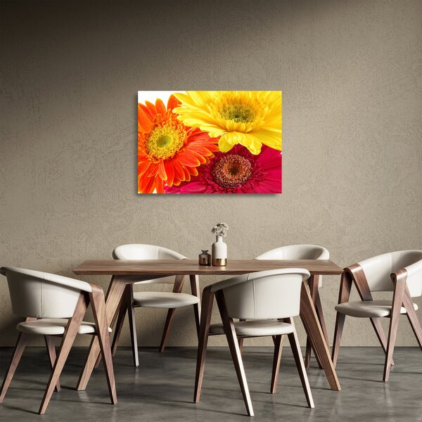 Tablou pe sticlă - Flori Gerbery (70x50 cm)