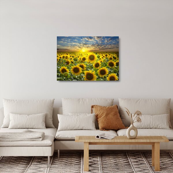 Tablou pe sticlă - Floarea-soarelui la apus de soare (70x50 cm)
