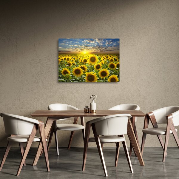Tablou pe sticlă - Floarea-soarelui la apus de soare (70x50 cm)