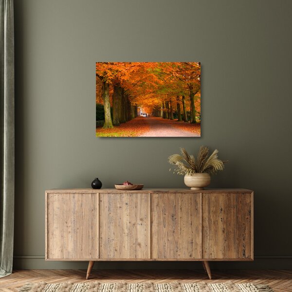 Tablou pe sticlă - Bulevardul de copaci în toamnă (70x50 cm)