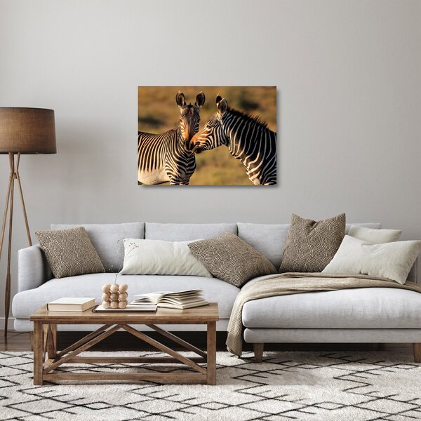 Tablou pe sticlă - Două zebre (70x50 cm)
