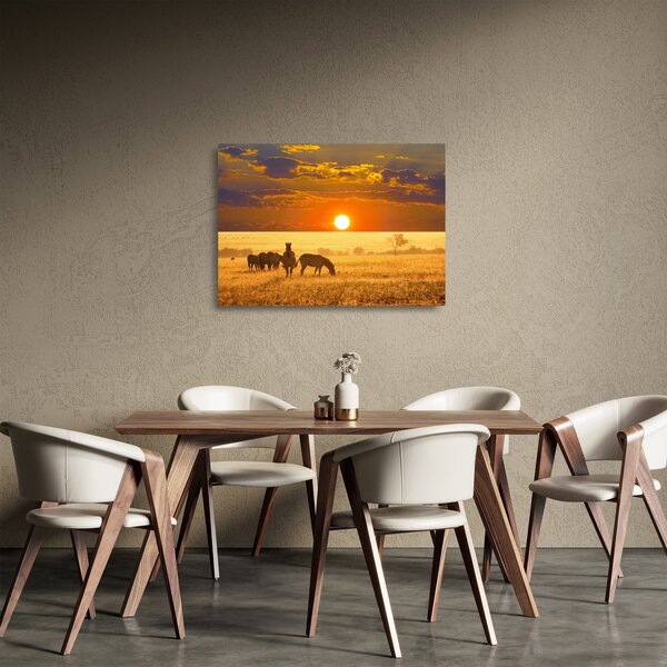 Tablou pe sticlă - Zebre cu apus de soare (70x50 cm)