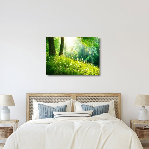 Tablou pe sticlă - Pajiște magică plină de păpădii (70x50 cm)
