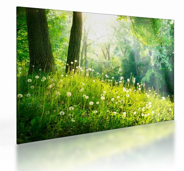 Tablou pe sticlă - Pajiște magică plină de păpădii (70x50 cm)