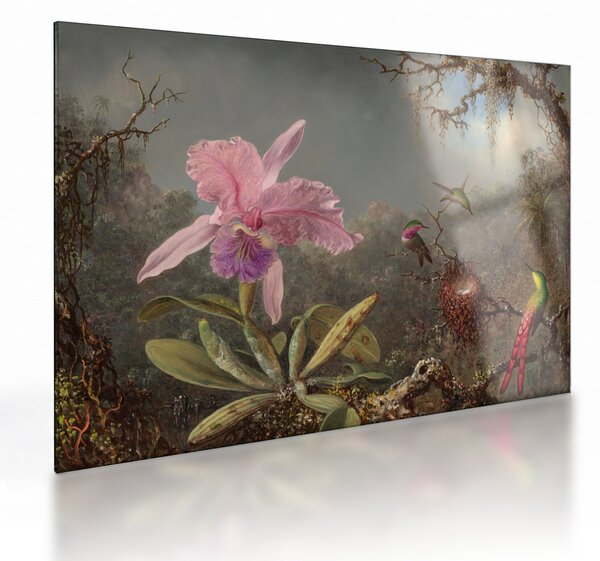 Tablou pe sticlă - Martin Johnson Heade, Cattleya Orchid and Three Hummingbirds, reproducere (70x50 cm)