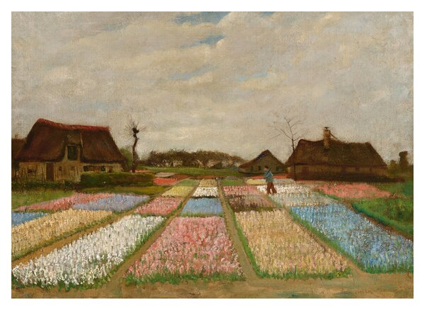 Tablou pe sticlă - Vincent van Gogh, Flower Beds in Holland, reproducere (70x50 cm)