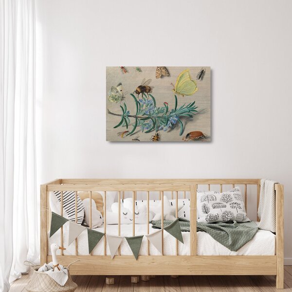 Tablou pe sticlă - Jan van Kessel the Elder, Insects and a Sprig of Rosemary, reproducere (70x50 cm)