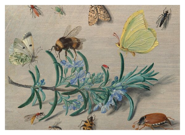 Tablou pe sticlă - Jan van Kessel the Elder, Insects and a Sprig of Rosemary, reproducere (70x50 cm)