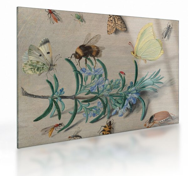 Tablou pe sticlă - Jan van Kessel the Elder, Insects and a Sprig of Rosemary, reproducere (70x50 cm)
