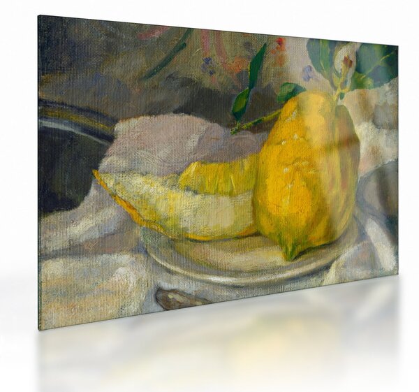 Tablou pe sticlă - French 19th Century, Melon and Lemon, reproducere (70x50 cm)