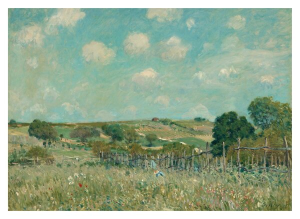 Tablou pe sticlă - Alfred Sisley, Meadow, reproducere (70x50 cm)