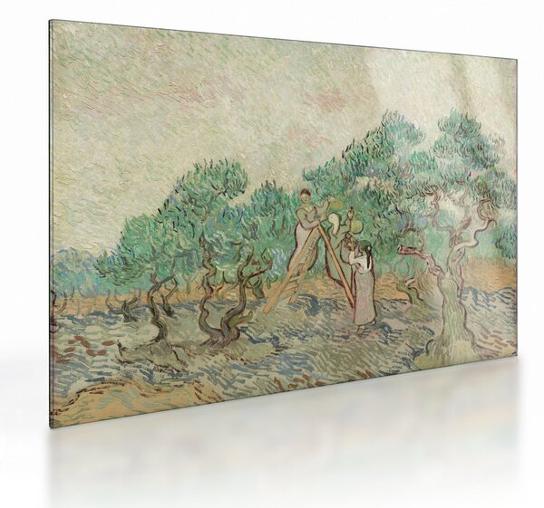 Tablou pe sticlă - Vincent van Gogh, The Olive Orchard, reproducere (70x50 cm)
