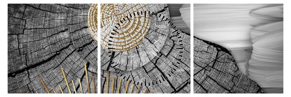 Tablou - Trunchiul copacului colaj (cu ceas) (90x30 cm)