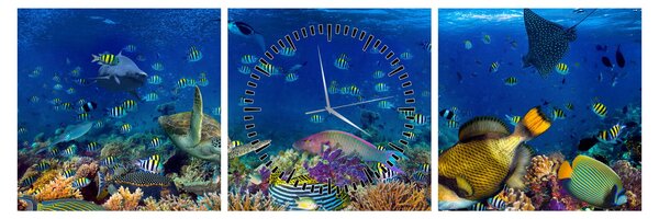 Tablou - Ocean (cu ceas) (90x30 cm)