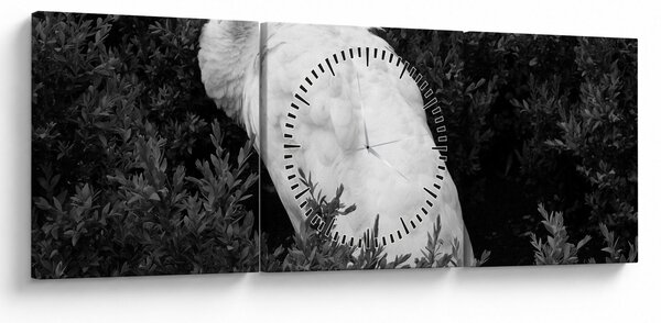 Tablou - Păun,alb-negru (cu ceas) (90x30 cm)