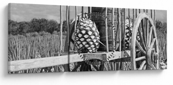 Tablou - Remorcă,alb-negru (cu ceas) (90x30 cm)