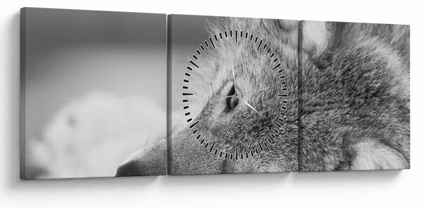 Tablou - Lup,alb-negru (cu ceas) (90x30 cm)