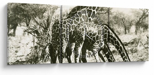 Tablou - Girafe, de epocă (cu ceas) (90x30 cm)