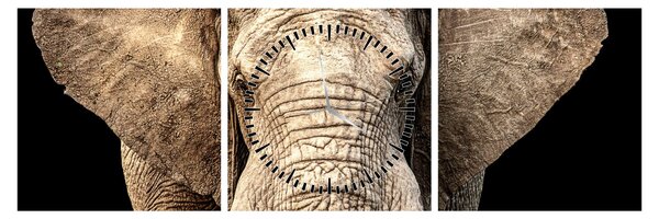 Tablou - Elefant african (cu ceas) (90x30 cm)