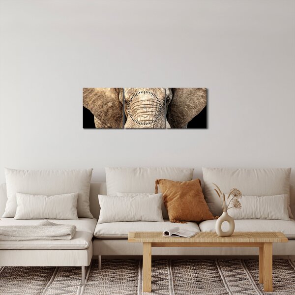Tablou - Elefant african (cu ceas) (90x30 cm)