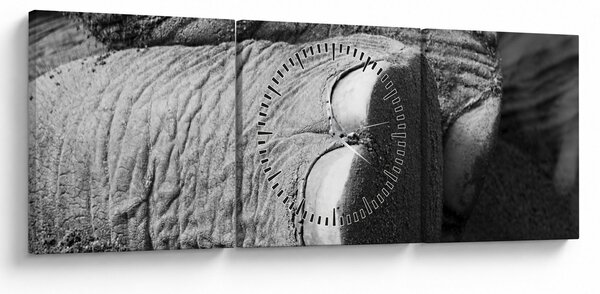 Tablou - Picior de elefant (cu ceas) (90x30 cm)
