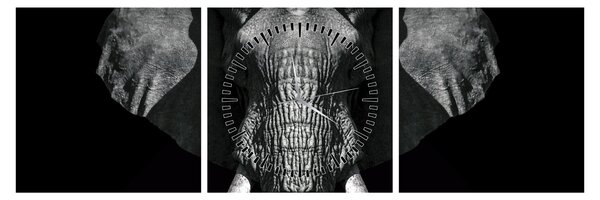 Tablou - Elefant pe fundal negru (cu ceas) (90x30 cm)