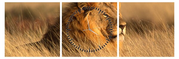 Tablou - Parcul Național Etosha (cu ceas) (90x30 cm)