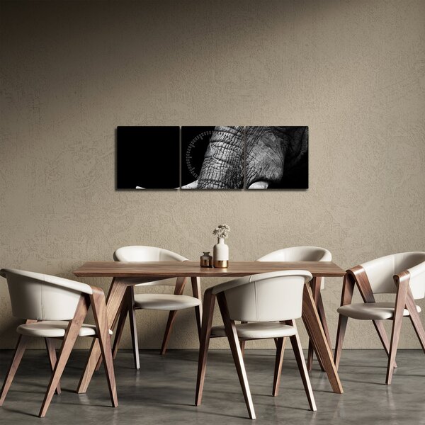 Tablou - Colți de elefant (cu ceas) (90x30 cm)