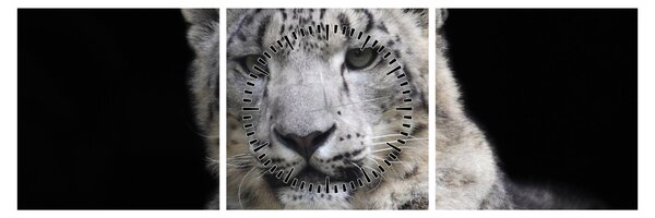 Tablou - Snow Leopard (cu ceas) (90x30 cm)