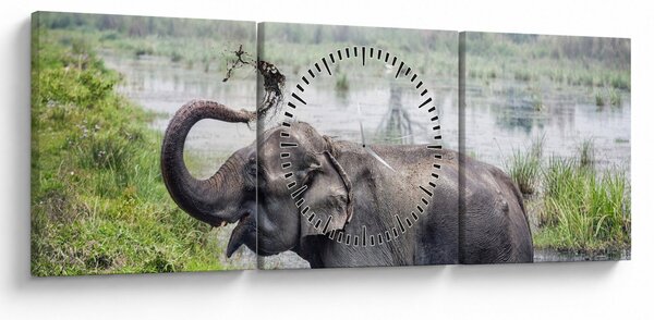 Tablou - Elefant de scăldat (cu ceas) (90x30 cm)
