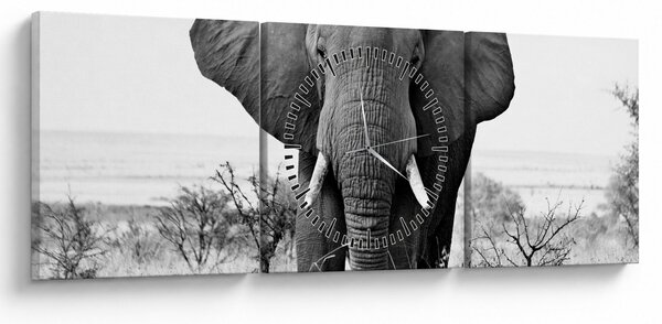 Tablou - Elefantul african II. (cu ceas) (90x30 cm)