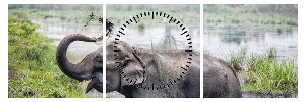 Tablou - Elefant de scăldat (cu ceas) (90x30 cm)