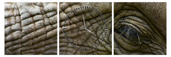 Tablou - Prim-planul ochiului de elefant vechi (cu ceas) (90x30 cm)