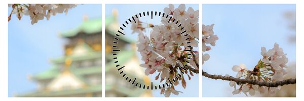 Tablou - Sakura (cu ceas) (90x30 cm)