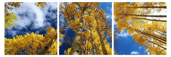 Tablou - Aspen (cu ceas) (90x30 cm)