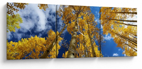 Tablou - Aspen (cu ceas) (90x30 cm)