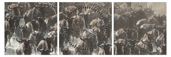 Tablou - Turmă de antilope sălbatice (cu ceas) (90x30 cm)
