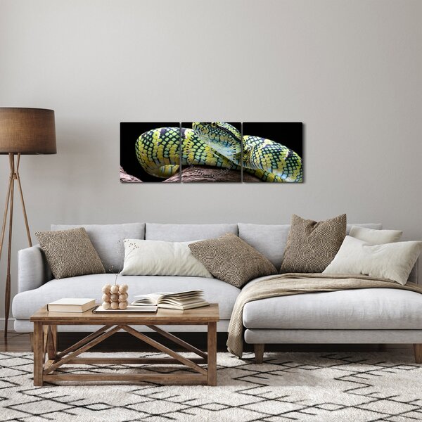 Tablou - Șarpele cu clopoței al lui Wagler (cu ceas) (90x30 cm)