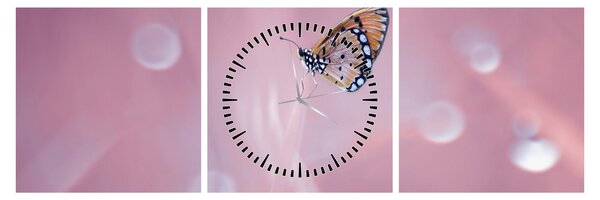 Tablou - Fluturele (cu ceas) (90x30 cm)