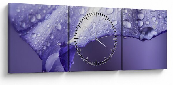 Tablou - Petală cu picături (cu ceas) (90x30 cm)
