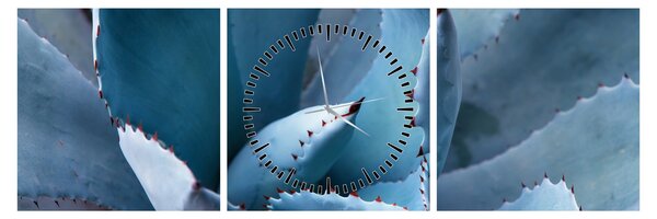 Tablou - Agave (cu ceas) (90x30 cm)