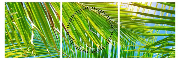 Tablou - Frunze de palmier (cu ceas) (90x30 cm)