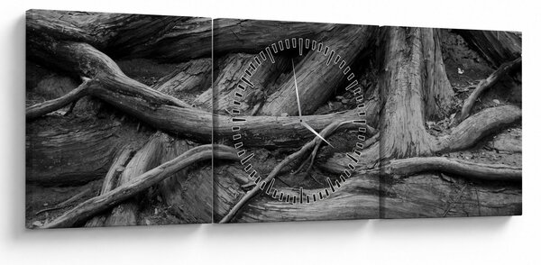 Tablou - Rădăcinile copacului (cu ceas) (90x30 cm)