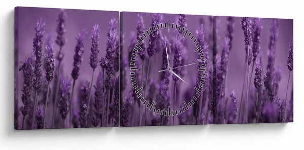 Tablou - Lavanda (cu ceas) (90x30 cm)